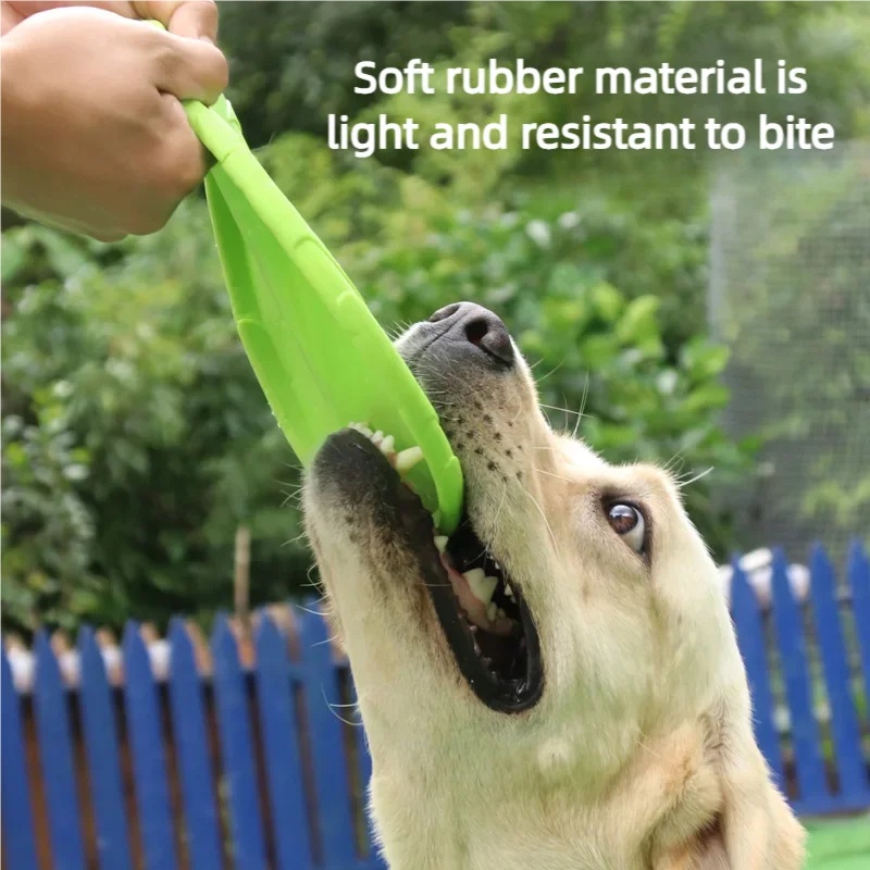Interactive Silicone Flying Sa - Flying Disc Dog Training Toy review and price
