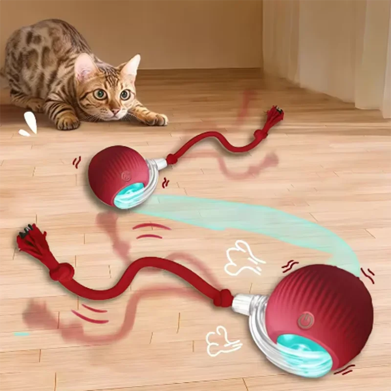 Hot Cat Toys Are Automatically - Automatic Moving Dog Ball review and price