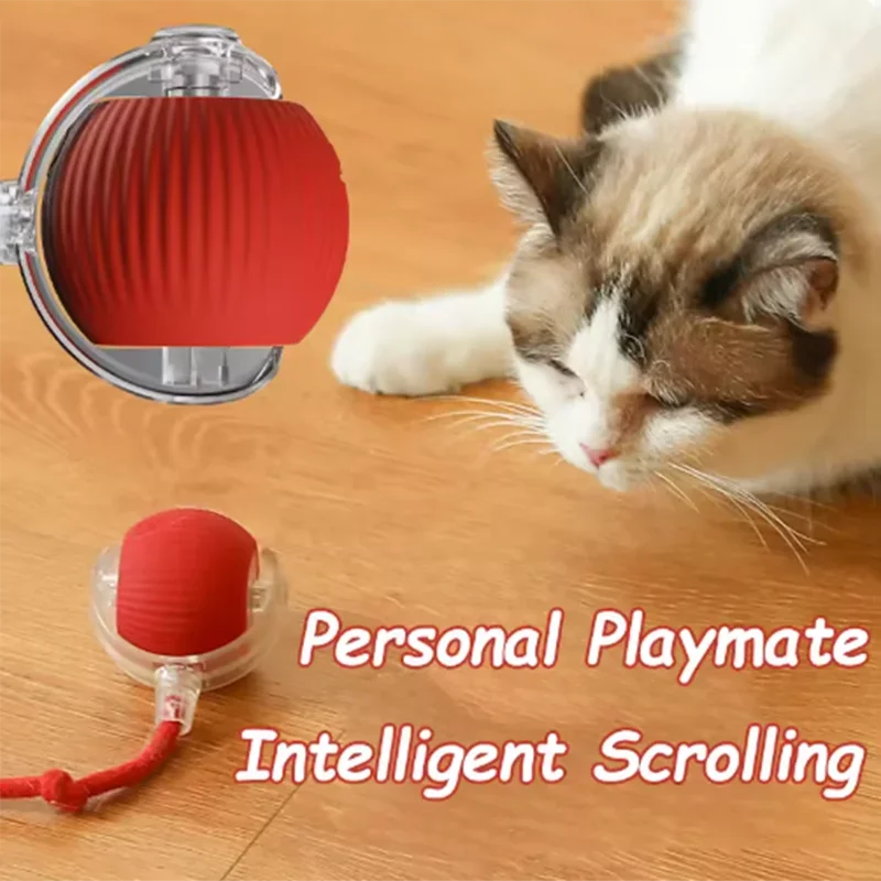 Hot Cat Toys Are Automatically - Automatic Moving Dog Ball review and price