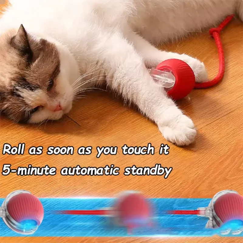 Hot Cat Toys Are Automatically - Automatic Moving Dog Ball review and price