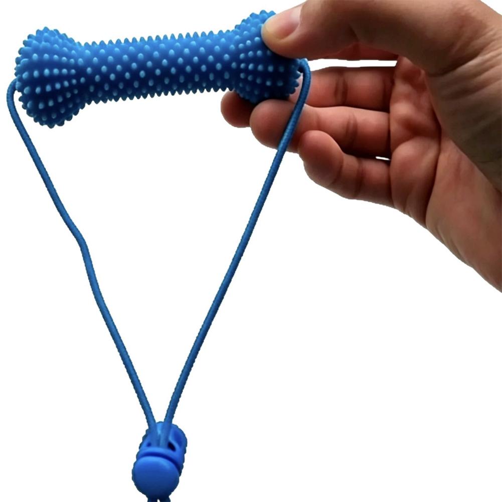 Pet Dental Care Chewing Toy 2i - Interactive Squeaky Plush Dog Toy review and price